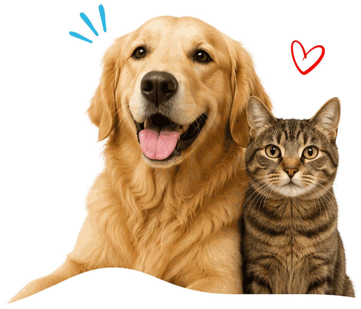 Cachorro golden retriever e gato tabby lado a lado, sorrindo